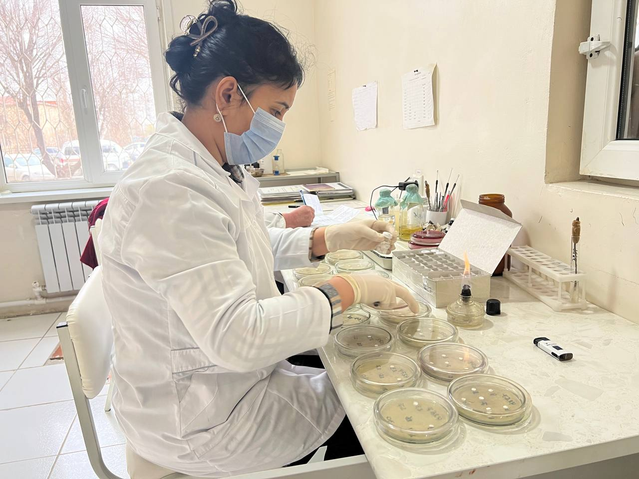 Bakteriologiya laboratoriyasida ish jarayoni