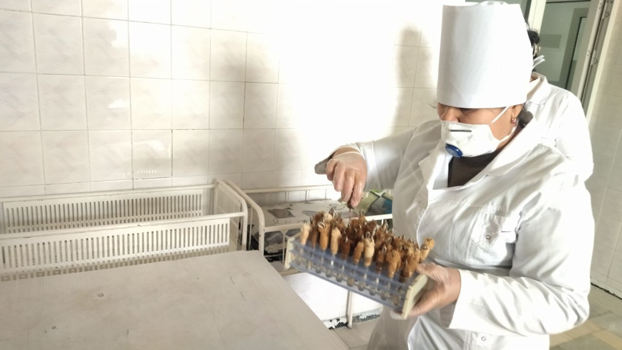 Ona-bola sog‘lig‘i birinchi o‘rinda.